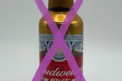 BAB082 BUDWEISER DRAFT 2024 CHINA 330ml 8 EURO