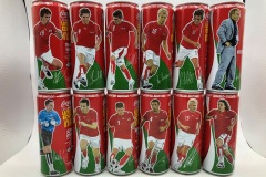CCS030 UEFA Euro 2008 Austrian National Team (with Trainer) Set 2008 Austria 24 EURO Coke can collector Coke Can Collector