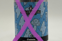 ESP262 Garage Barcelona Caleta Cerveza Mediterranes, Spanish beer can collector, cans Spain, beverage can Spain, lata de cerveza españa, coleccionista de latas de cerveza española, latas españa, lata de bebida españa