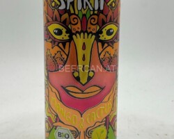 OCS132 Biohacks Spirit Mango &amp;amp; Cactus Can collection, energy drink can collector